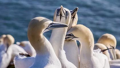 乐鱼电竞-运动员技能竞赛奖励机制，运动员技能竞赛奖励机制是什么