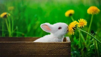 APP下载 LY Sports-“足球智者”：某某教练解读战术变革心得，足球技战术训练全书