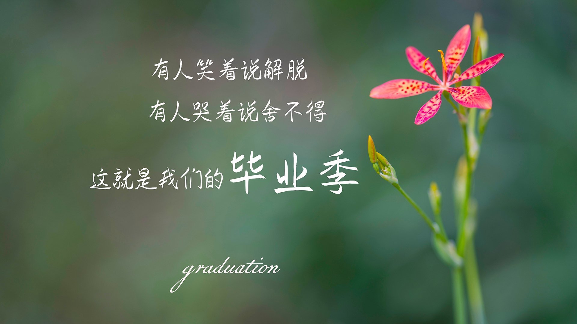 《多国战队的文化碰撞：跨文化交流的火花》