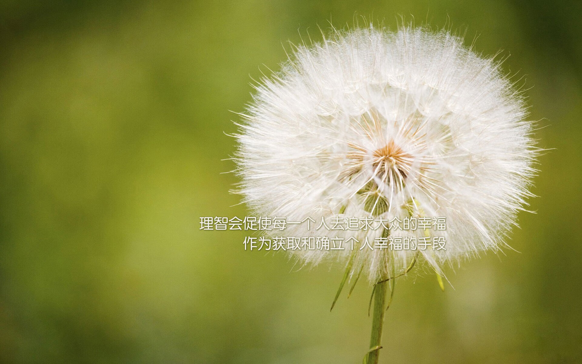 中超联赛观众人数回升，球迷热情高涨，中超联赛 观众
