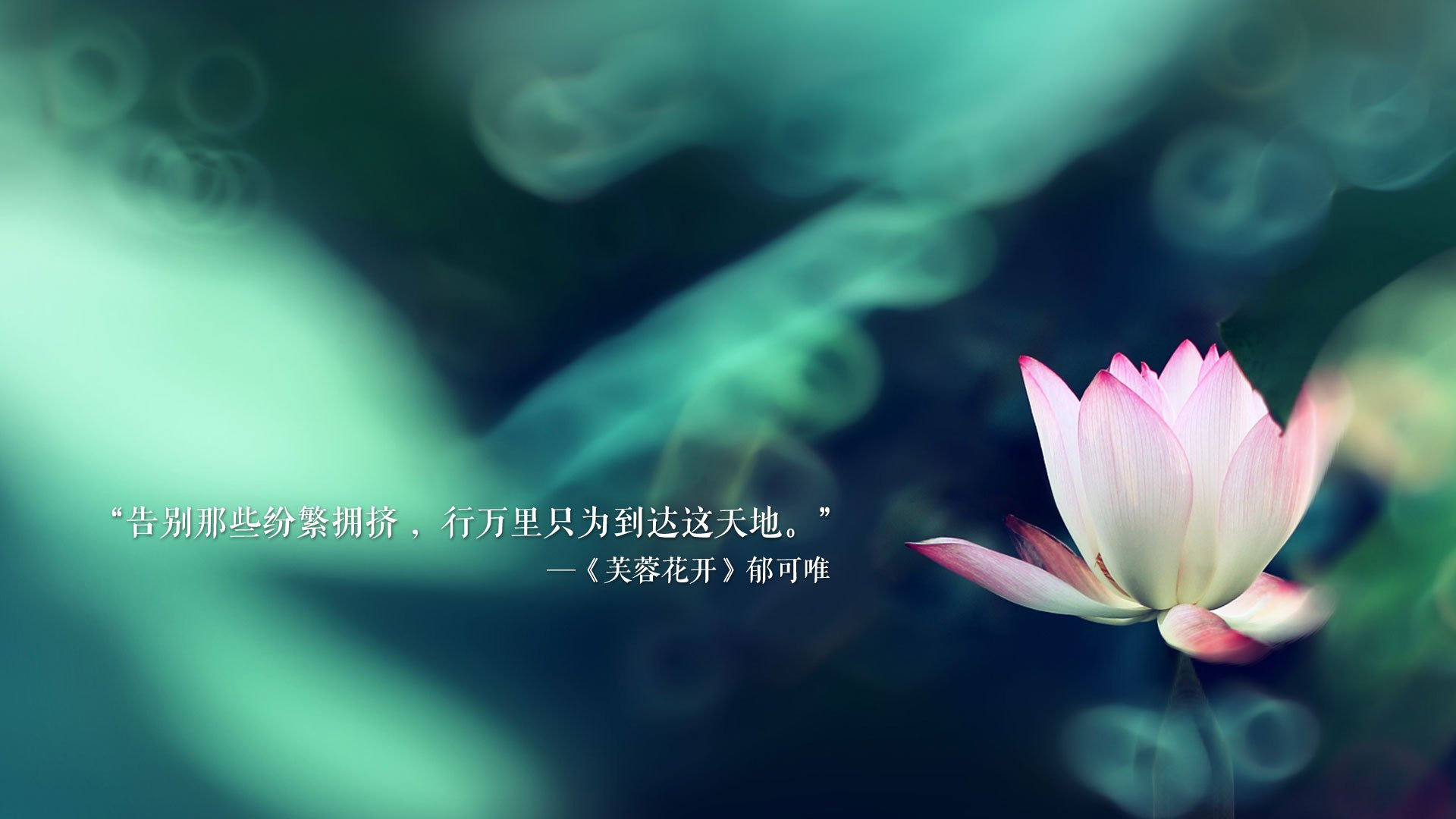新一轮足球场地普查方案启动，硬件设施逐步完善，足球场场地数据