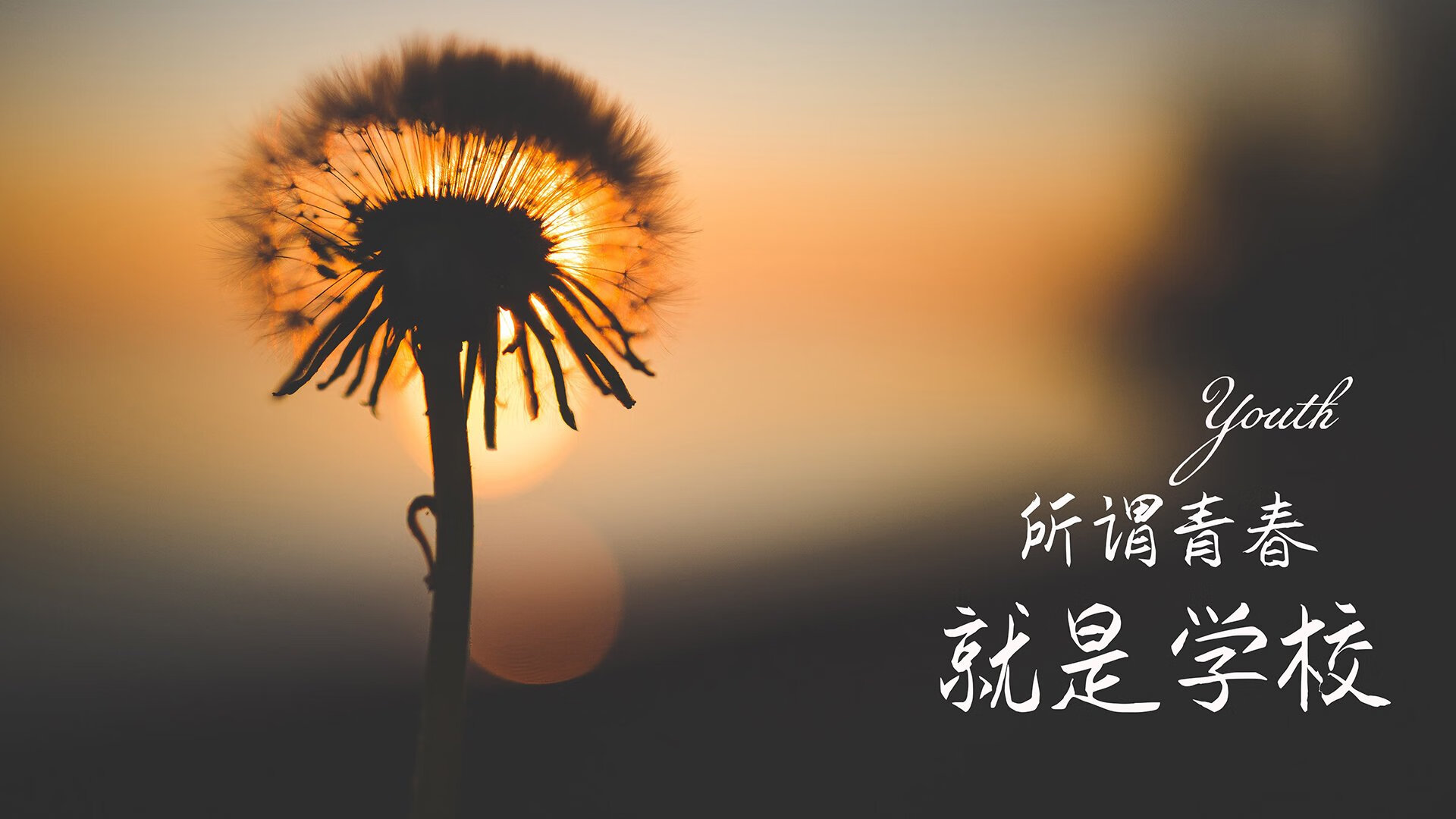 泰国马术协会授予胡安·卡洛斯·费尔南德斯“年度最佳马术教练”称号。