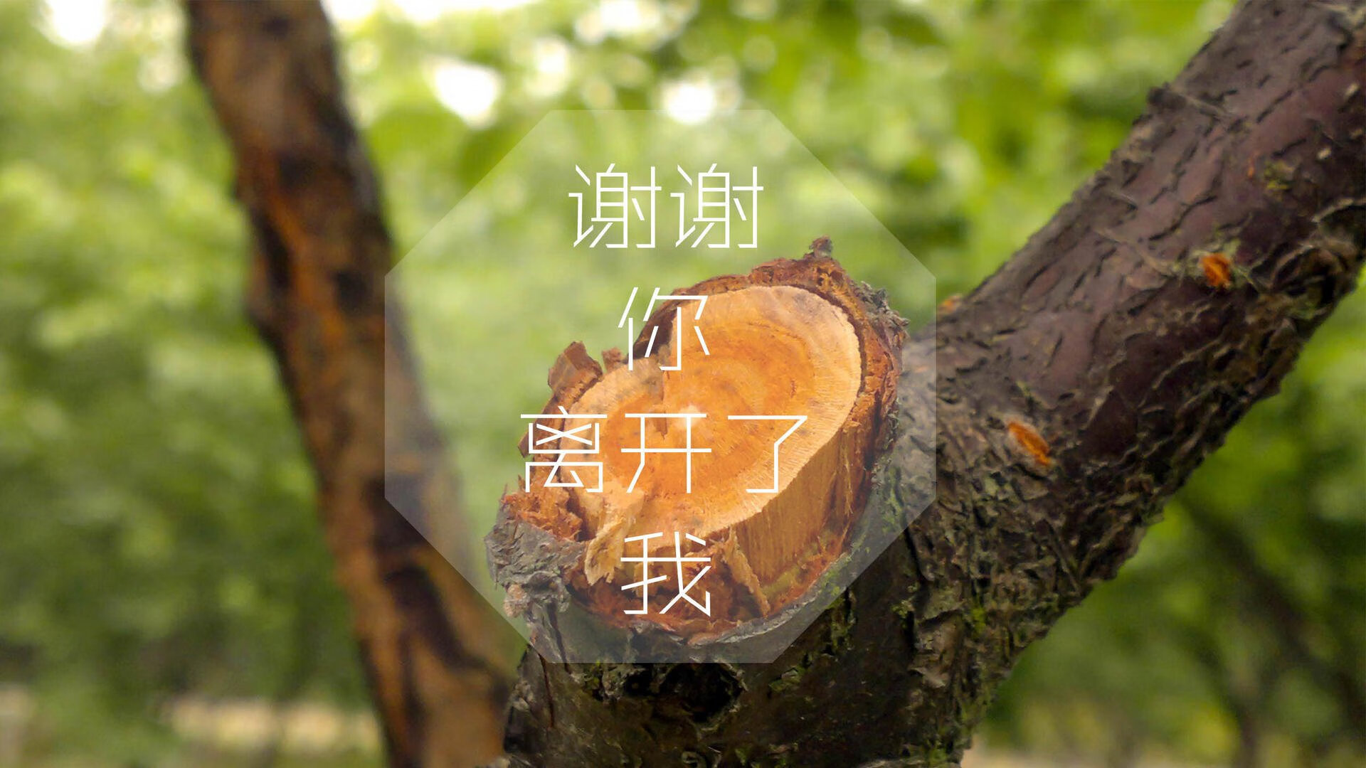 FaZe赞助LOL赛事或将成现实，faze战队比赛