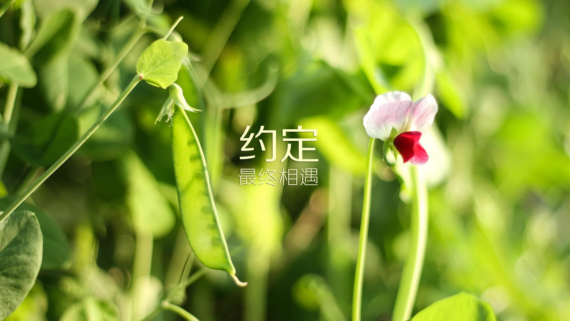 俱乐部建设理念缺乏长线思维，俱乐部发展存在的主要问题