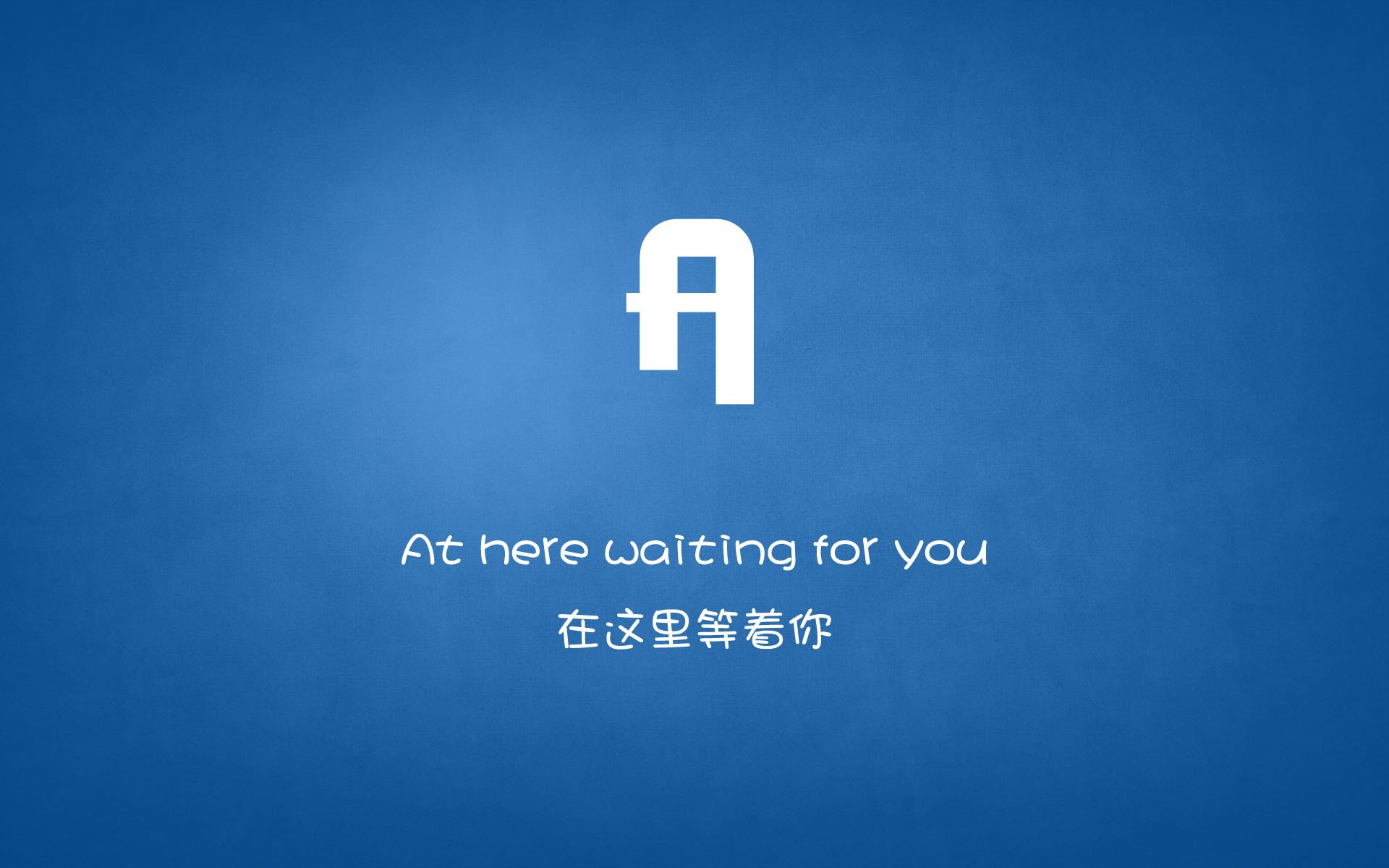 森林狼新援在战术演练中展现超强适应力，森林狼拓展