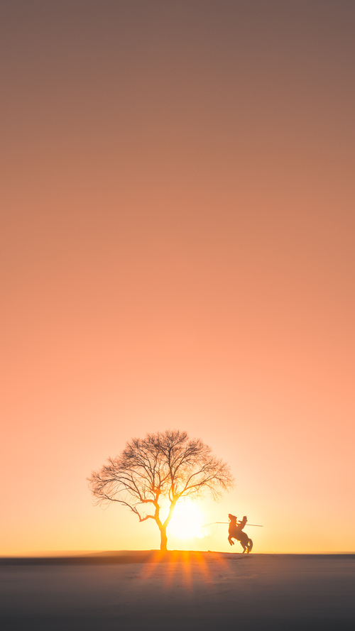 乐鱼（中国）体育官方网站-波波维奇100米自由泳决赛精彩纷呈，波波夫自由泳比赛视频