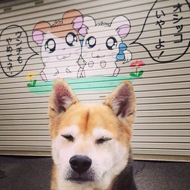 网球选手体能训练课程优化周期安排,网球体能训练项目