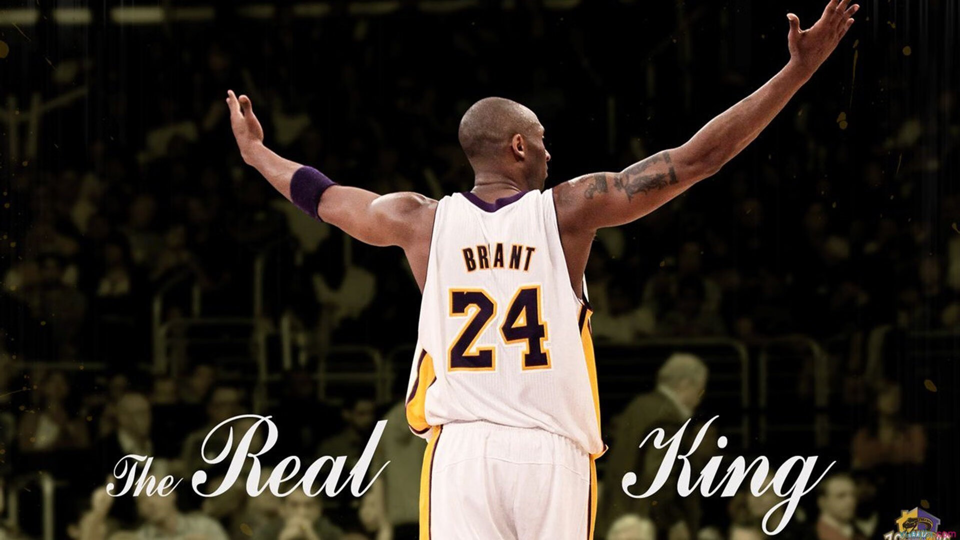 克罗地亚骑手吉塔·日特科维奇在2024年国际马术联合会世界障碍赛中以“Rain in Otago”马匹获得第九名，表现出色。